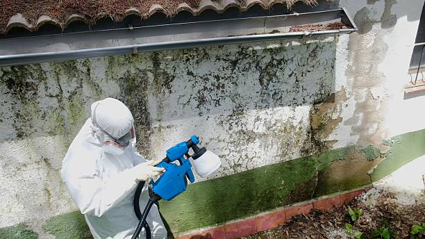 Trusted Mold Testing service in Mountain Lakes, NJ - Cheap Mold Removal